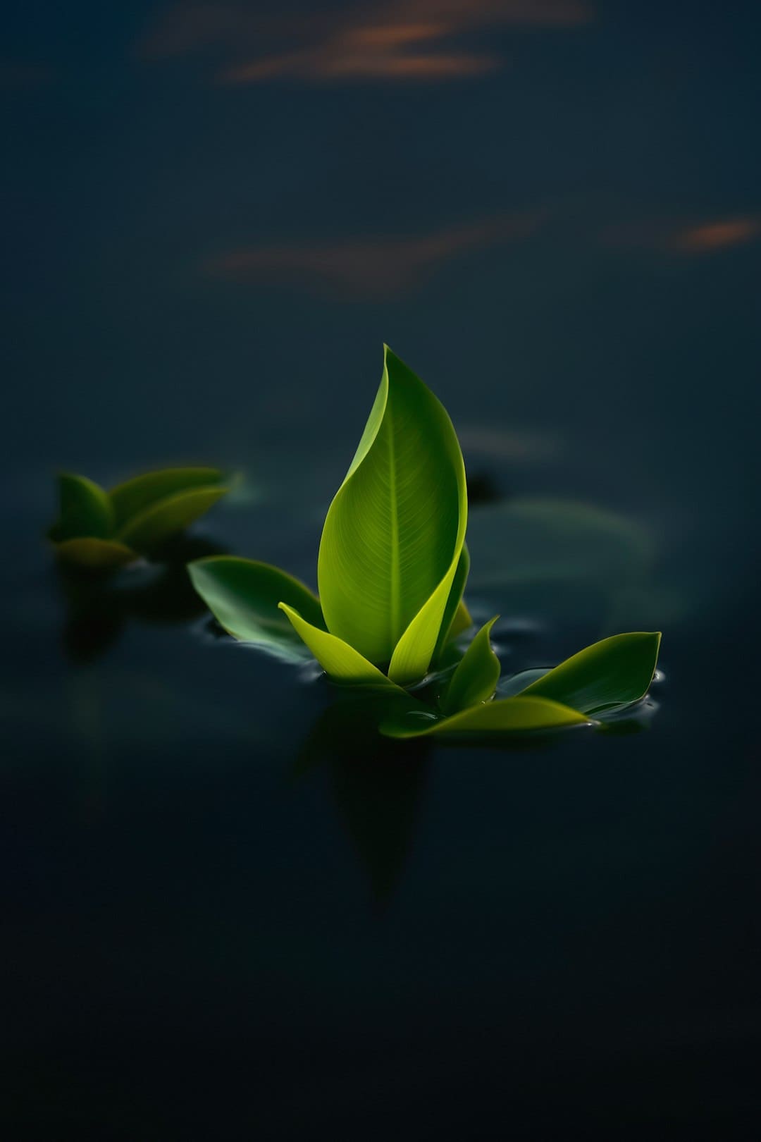 "哇，这儿真的是韩国吗？" 情不自禁地说出这样的话的照片中的景色，大青岛_